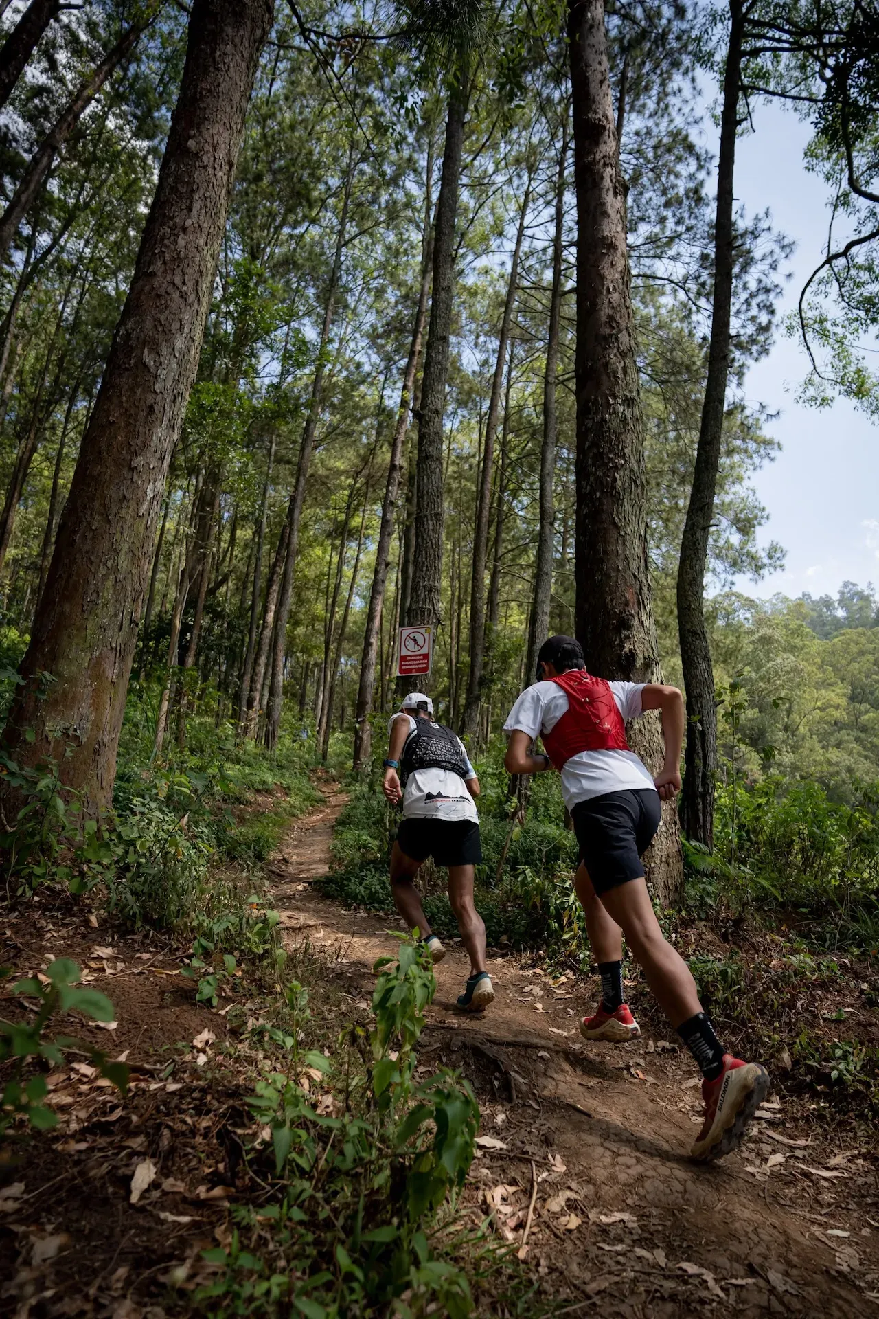Trail runners